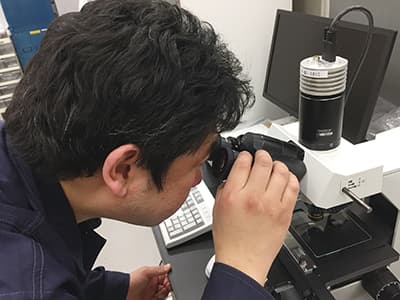 Stability Evaluation Equipment