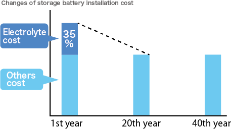 Vanadium Redox Flow Battery